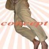 Conceptual Designed Objects