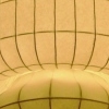Alternate Light Forms