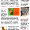 2004 DWR Champagne Contest Winner - "Tuffet Chair"