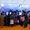 The Exhibition