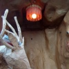 Fathouse