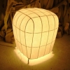 Alternate Light Forms