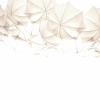 Order Cumulus Light Canopy