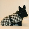 Modeling dog clothes at Hyde Bark