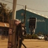 Palm/Palma