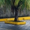 Pali