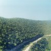 valle