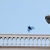 Vuelo 2