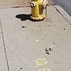 Hydrant at mid-morning