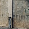 Bario jamaica