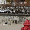 Hydrant and statue