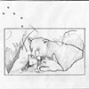 Fox Possum and Bear