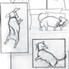 Lost & Hound Dummy Page 3