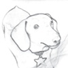 Lost & Hound Dummy Page 27