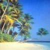Underwater Paradise
(projection still)