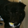 Broderick (Brody)