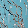 Willow Project