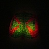 Buttock 9 in show