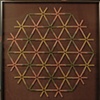 Flower of Life Project