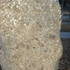 rice detail