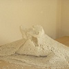 Rice Abstraction