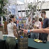 Willow Project 1