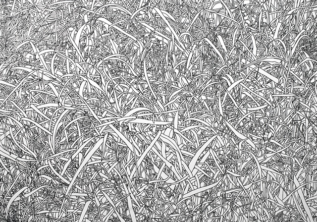 Grass