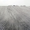 Family Farm