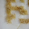 Corn Maze (detail)