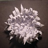 Fortune Flower