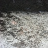 Under The Rug (detail)