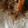 Second Skins II (detail)