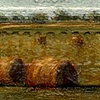 Field of Sleeping Peasants, 1971