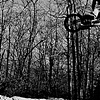 Garrett Byrnes   Photo:Denis Dreher