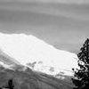 John Andrus- opposite barspin with a radical view.