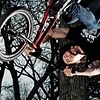 from the ridebmx.com  site,  pic by Chris Marshall!
