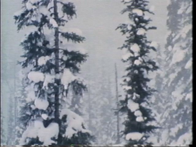Slide---Still 6
