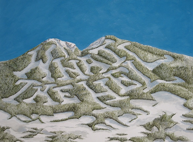 "Daniel Anhorn", painting, landscape, clearcut, "ski runs", what the hell