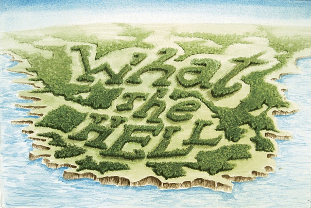"Daniel Anhorn" painting, landscape, clearcut, "What the Hell"