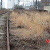 Walk 11