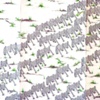 Avalanche Fences (Detail)