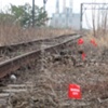 A Walk along the Trestles