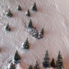 Bergfall (trees detail)