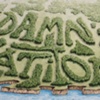 Damnation