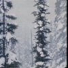 Slide---Still 6