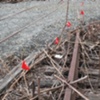 Walk 55