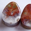 Puma Agate