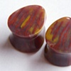Petrified Wood