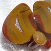 1 1/4" Condor Agate w/ Conches