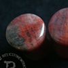 00g Petrified Wood 
